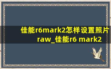 佳能r6mark2怎样设置照片raw_佳能r6 mark2 raw怎么调